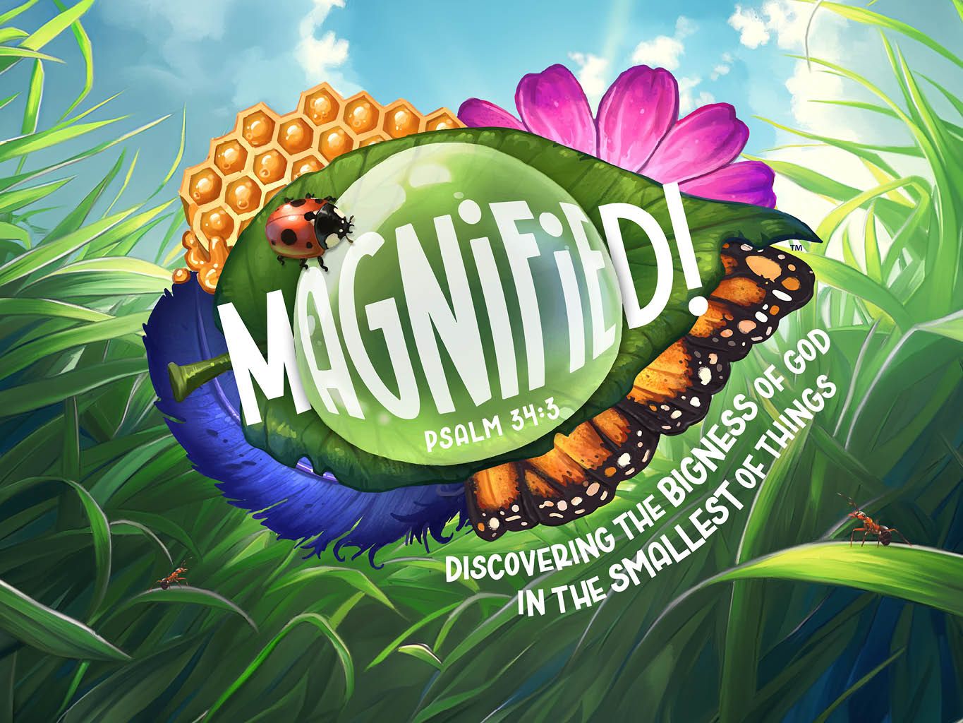 Magnified Header Image